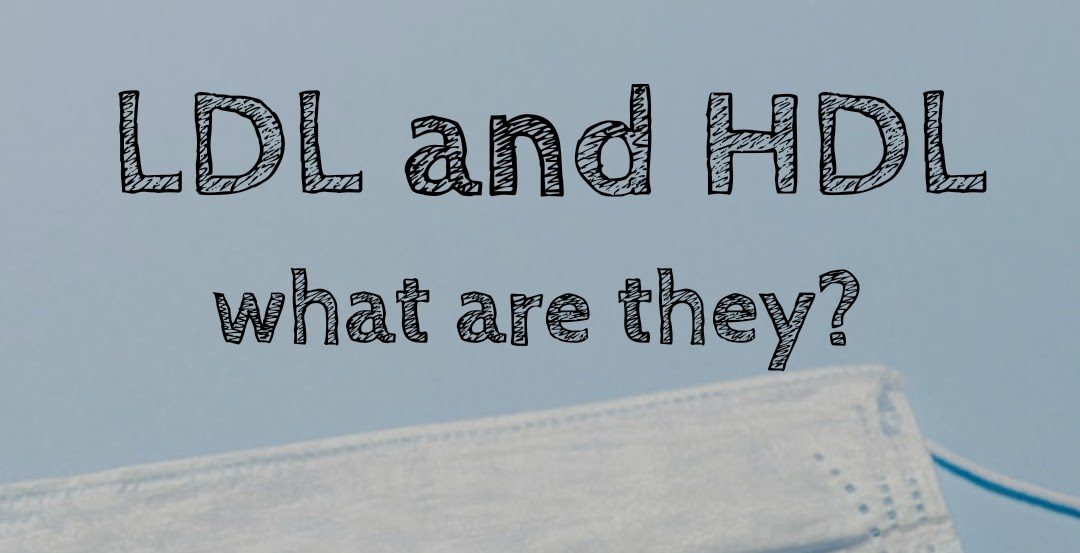 LDL & HDL: What are they?