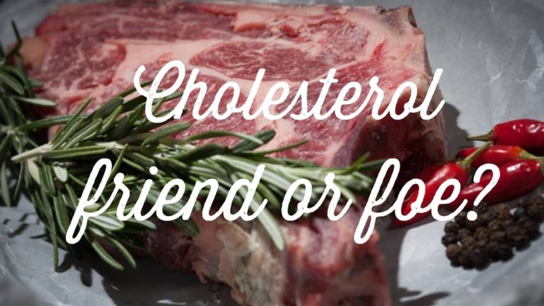 Cholesterol, Friend or Foe?
